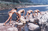 ���쳤����Ͽר������